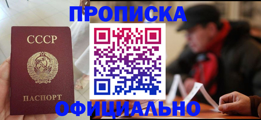 временная регистрация для школы в Павловском Посаде